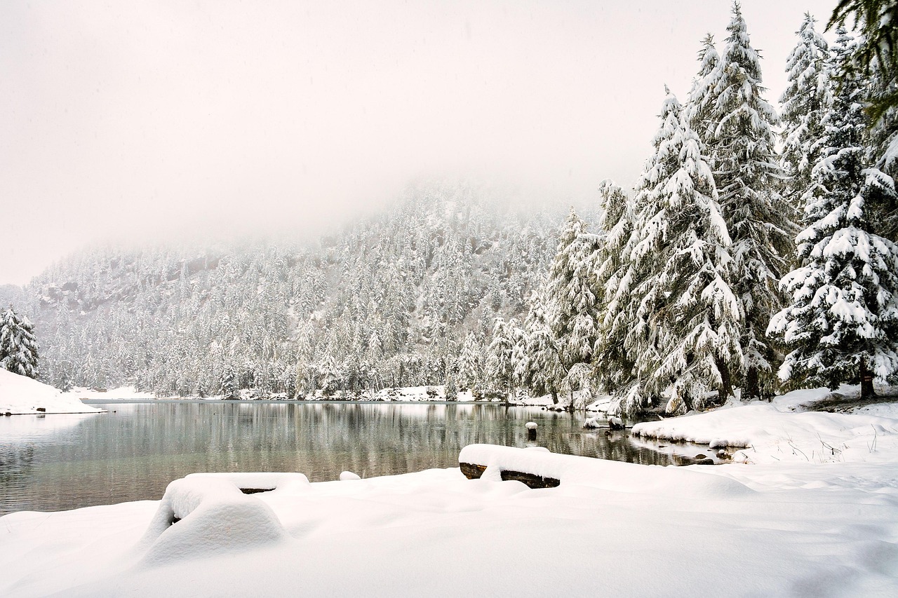 5 Mosse AI di Shopify per i Piccoli Venditori che Sfideranno Amazon nel 2026