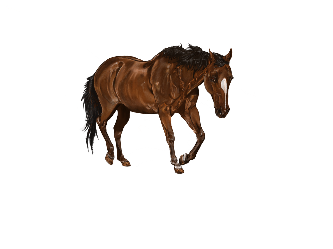 Agilità di Brand: Cosa Insegna il Caso Warframe al Mercato Europeo