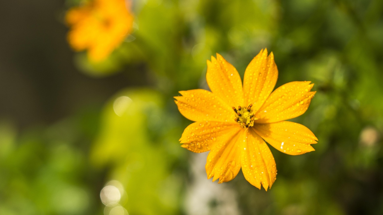 La Fiducia Digitale è la Nuova Moneta: Proteggi il Tuo Brand