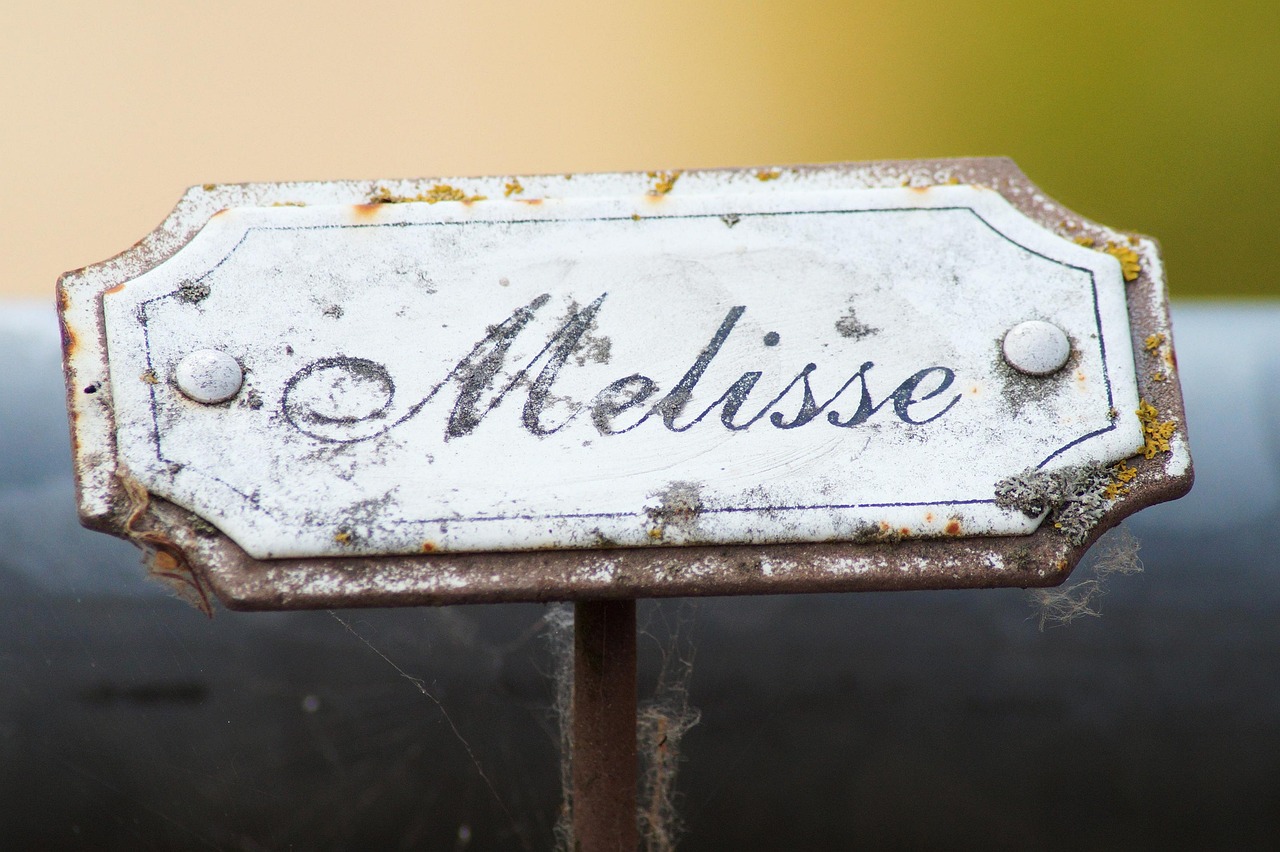 3 Pilastri del Dominio: Costruire Fiducia e Visibilità AI per il Tuo Brand